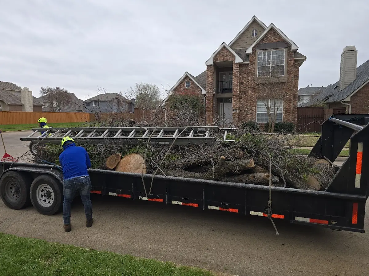 Expert Tree Fertilization with proper safety equipment in Bel Alton